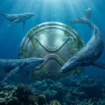 ยอดถือครอง XRP ETF แตะ 1.43 พันล้านดอลลาร์ รายใหญ่กำลังมองเห็นอะไรใน XRP ?