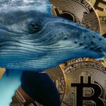 ราคา Bitcoin ดิ่งทะลุ $76,000 แต่ข้อมูลชี้เจ้ามือยังแอบช้อนซื้อเงียบๆ