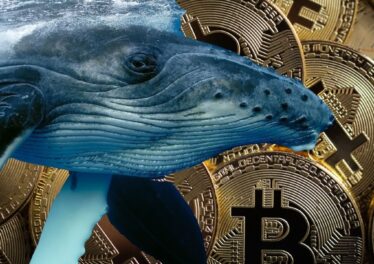 ราคา Bitcoin ดิ่งทะลุ $76,000 แต่ข้อมูลชี้เจ้ามือยังแอบช้อนซื้อเงียบๆ