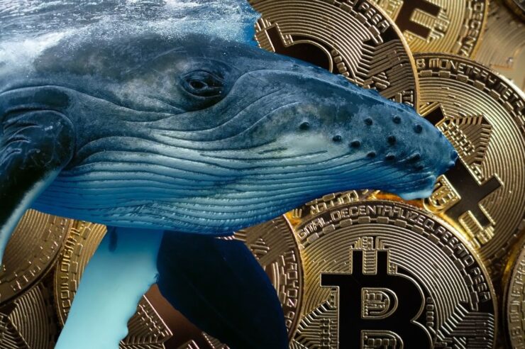 ราคา Bitcoin ดิ่งทะลุ $76,000 แต่ข้อมูลชี้เจ้ามือยังแอบช้อนซื้อเงียบๆ