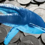 เจ้ามือปริศนาวางเดิมพัน 2.7 หมื่นล้านใน Ethereum หรือนี่จะเป็นสัญญาณกลับตัว