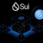 Sui เตรียมเปิดตัวฟีเจอร์ ‘ธุรกรรมลับ’ ปีนี้ รองรับโอนเงินส่วนตัวและใช้ระดับองค์กร