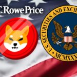 สายมีมเฮ SEC ไฟเขียวอนุมัติกองทุน Meme ETF มัดรวมเหรียญดังตระกูลชิบะ
