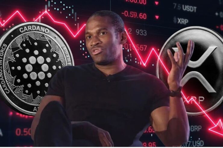 ผู้ก่อตั้ง BitMEX วิจารณ์ยับ ADA – XRP ไร้ประโยชน์ อยู่รอดเพราะบุญเก่าเคยพาคนรวย
