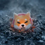 Shiba Inu เบิร์นแค่ 5 ดอลลาร์ต่อวัน ท่ามกลางตลาดคริปโตที่ซึมตัว