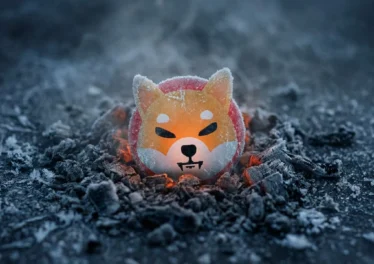 Shiba Inu เบิร์นแค่ 5 ดอลลาร์ต่อวัน ท่ามกลางตลาดคริปโตที่ซึมตัว