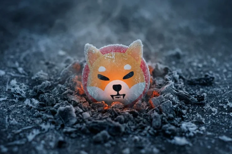 Shiba Inu เบิร์นแค่ 5 ดอลลาร์ต่อวัน ท่ามกลางตลาดคริปโตที่ซึมตัว