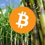 นักขุดคริปโตปิ๊งไอเดีย นำอ้อยมาขุด Bitcoin การันตีเป็นมิตรต่อสิ่งแวดล้อม
