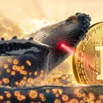 เจ้ามือ Bitcoin ตื่น โอน 5,908 BTC มูลค่าหมื่นล้านบาท หลังไม่ขยับมานาน 8 ปีครึ่ง 
