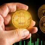 นักวิเคราะห์เผย กำไรผู้ถือ Bitcoin ระยะยาว ดิ่งลงเหลือ 30% จากยอดถือครองรวม 16.3 ล้าน BTC