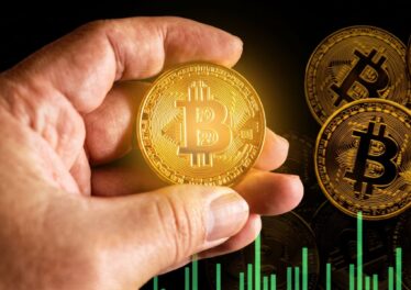 นักวิเคราะห์เผย กำไรผู้ถือ Bitcoin ระยะยาว ดิ่งลงเหลือ 30% จากยอดถือครองรวม 16.3 ล้าน BTC