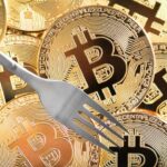 Bitcoin กำลังจะมีการ Fork เกิดขึ้น 2 ครั้ง ในเดือนหน้า อะไรคือสิ่งที่นักลงทุนต้องรู้ ?