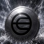 เอกสารยื่น ETF แฉ ที่อยู่กระเป๋าเงิน 100  ใบ ถืออุปทาน Worldcoin รวมกันกว่า 90%