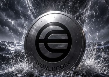 เอกสารยื่น ETF แฉ ที่อยู่กระเป๋าเงิน 100  ใบ ถืออุปทาน Worldcoin รวมกันกว่า 90%