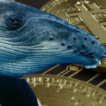 Bitcoin หลุด 63,000 ดอลลาร์ ผงะเจ้ามือรุ่นเก๋าขยับโอน 2,931 BTC หลังจำศีลนาน 7 ปี 