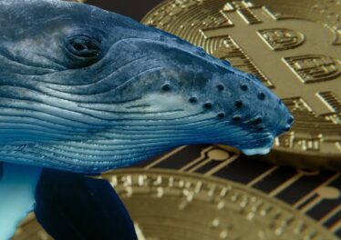 Bitcoin หลุด 63,000 ดอลลาร์ ผงะเจ้ามือรุ่นเก๋าขยับโอน 2,931 BTC หลังจำศีลนาน 7 ปี 