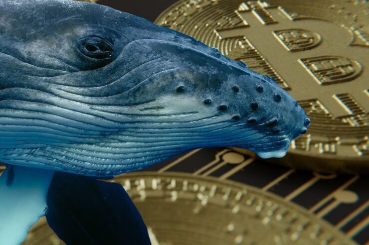 Bitcoin หลุด 63,000 ดอลลาร์ ผงะเจ้ามือรุ่นเก๋าขยับโอน 2,931 BTC หลังจำศีลนาน 7 ปี