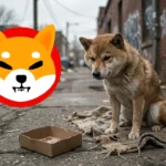 เกิดอะไรขึ้นกับบัญชี X ของ Shiba Inu หลังจู่ๆ หันมาโปรโมตเหรียญมีมโนเนม
