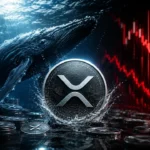 วาฬกว้านซื้อ XRP เพิ่ม 72 ล้านเหรียญ พยุงราคาเหนือ 1 ดอลลาร์สวนทางเงินทุน ETF ที่ร่วงหนัก