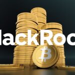 BlackRock เชื่อมั่นในอนาคต Bitcoin เต็มเปี่ยมถึงราคาจะร่วงลงมากว่า 50% ก็ไม่ท้อ