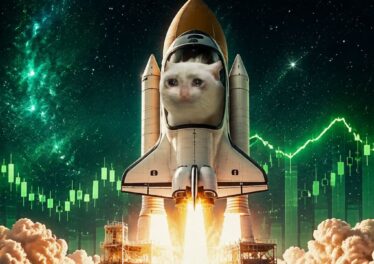 Cashcat ขึ้นแท่นเหรียญมีมที่โตแรงที่สุดในเวลานี้ สัปดาห์เดียวพุ่งกว่า 150%  
