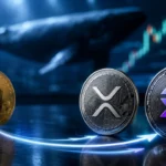 วาฬคริปโตเริ่มโยกเงินจาก Bitcoin เข้าหา XRP และ Solana หลังรายงานข้อมูลชี้เงินทุนสถาบันไหลเข้า