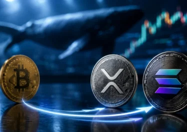วาฬคริปโตเริ่มโยกเงินจาก Bitcoin เข้าหา XRP และ Solana หลังรายงานข้อมูลชี้เงินทุนสถาบันไหลเข้า
