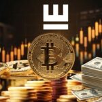 Castle เปิดตัวฟีเจอร์แปลงเงินปันผลหุ้นบุริมสิทธิของ Strategy ไปเป็น Bitcoin อัตโนมัติ