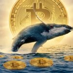 จับตาเจ้ามือ Bitcoin ยุคโบราณขยับ โอนย้าย 20  Bitcoin หลังไม่เคลื่อนไหวมานาน 15 ปี