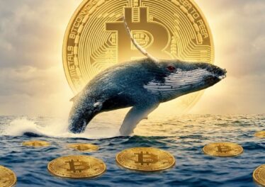 จับตาเจ้ามือ Bitcoin ยุคโบราณขยับ โอนย้าย 20  Bitcoin หลังไม่เคลื่อนไหวมานาน 15 ปี