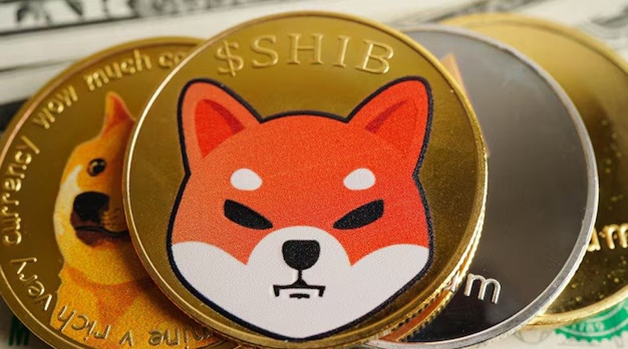 เหรียญ SHIB วางซ้อนกับเหรียญ Dogecoin บนธนบัตรดอลลาร์