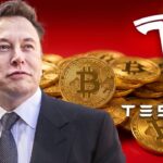 Tesla ของ Elon Musk ยังถือ Bitcoin แน่น 8,430 BTC หลังผ่านไป 4 ปี กำไรพุ่งทะลุ $710 ล้าน