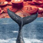 พบเจ้ามือปริศนา ชิงเปิดชอร์ต Bitcoin 40X ก่อนราคาดิ่งทะลุ $84,000