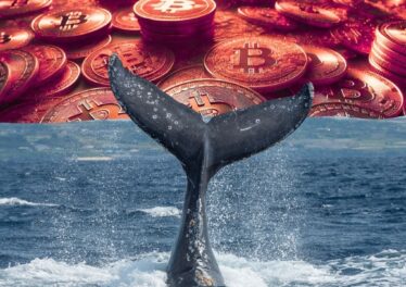 พบเจ้ามือปริศนา ชิงเปิดชอร์ต Bitcoin 40X ก่อนราคาดิ่งทะลุ $84,000