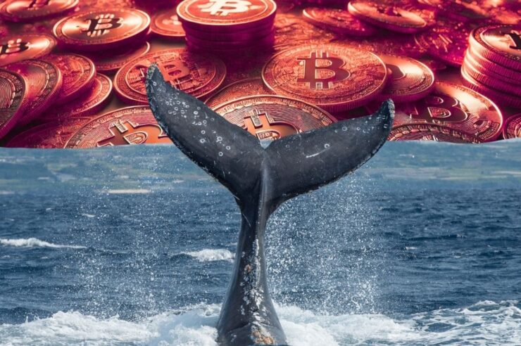 พบเจ้ามือปริศนา ชิงเปิดชอร์ต Bitcoin 40X ก่อนราคาดิ่งทะลุ $84,000